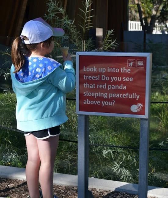 RedPandaYard-4 Aspen in fall colors along a bend in the Edmonton River Valley