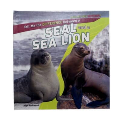 How Are They Different? Seal and a Sea Lion