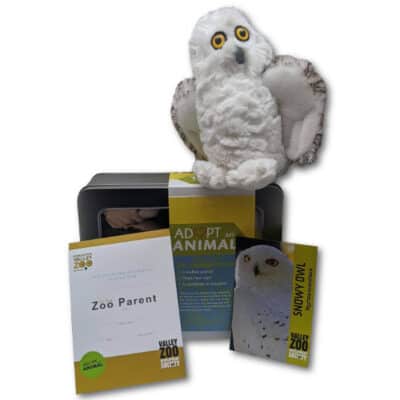 $75 Adopt an Animal - Snowy Owl