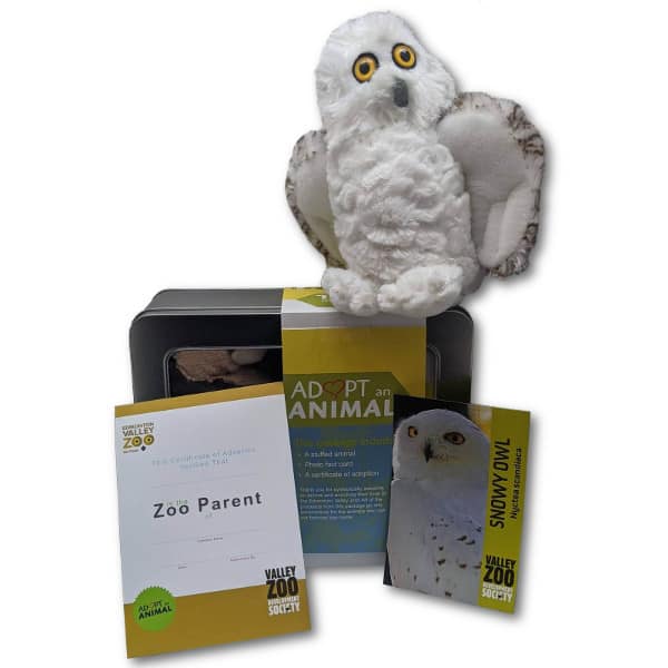 $75 Adopt an Animal - Snowy Owl