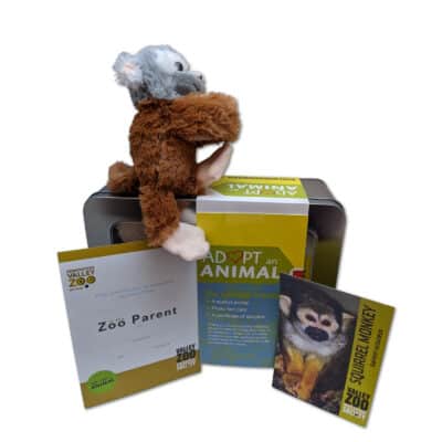 $75 Adopt an Animal - Squirrel Monkey