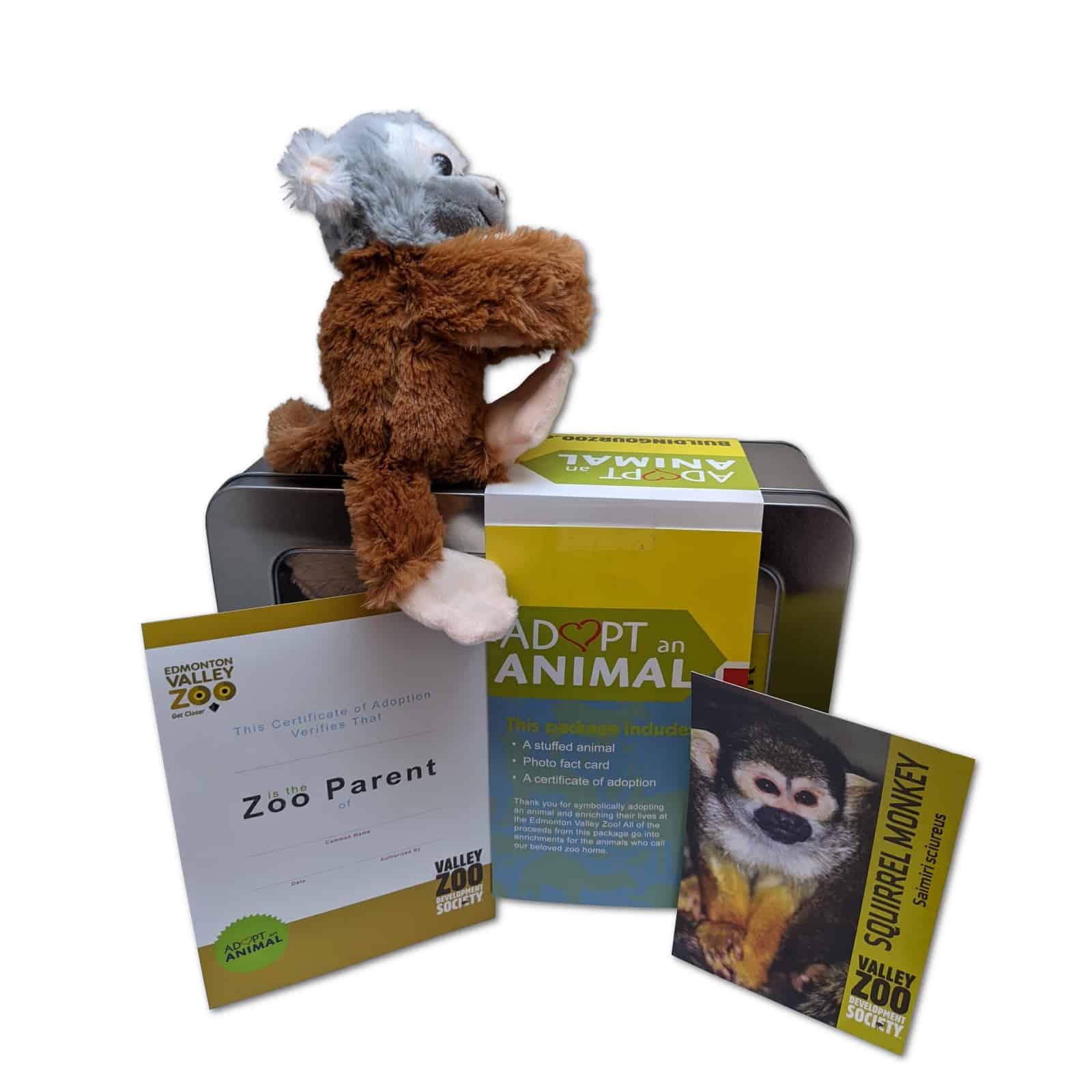 $75 Adopt an Animal - Squirrel Monkey