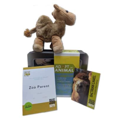 $75 Adopt an Animal - Camel