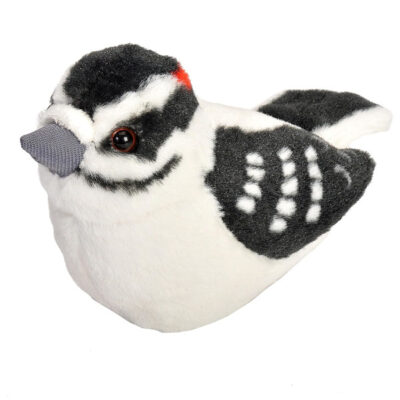 Audubon Birds - Downy Woodpecker