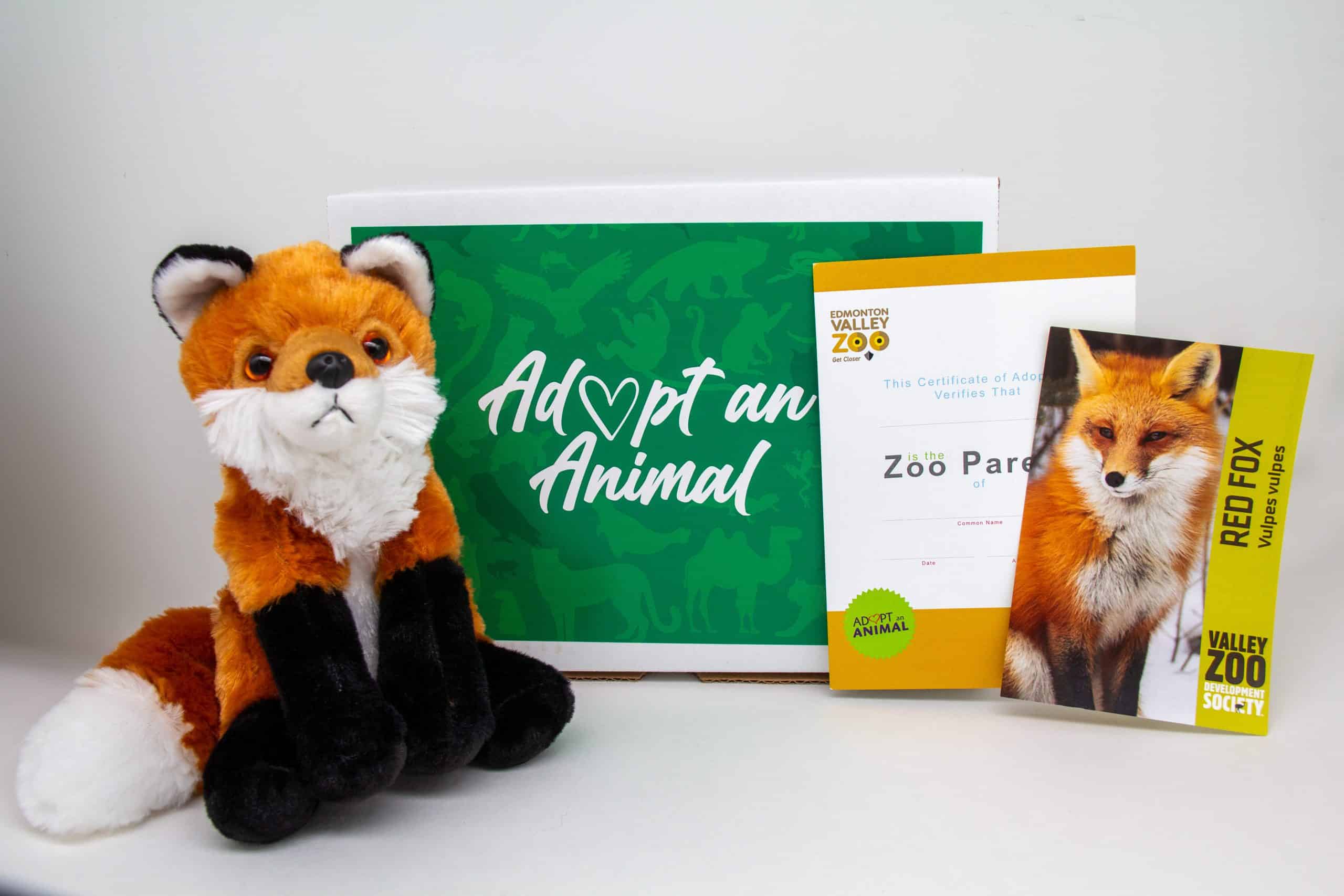 $75 Adopt an Animal - Red Fox - Image 2