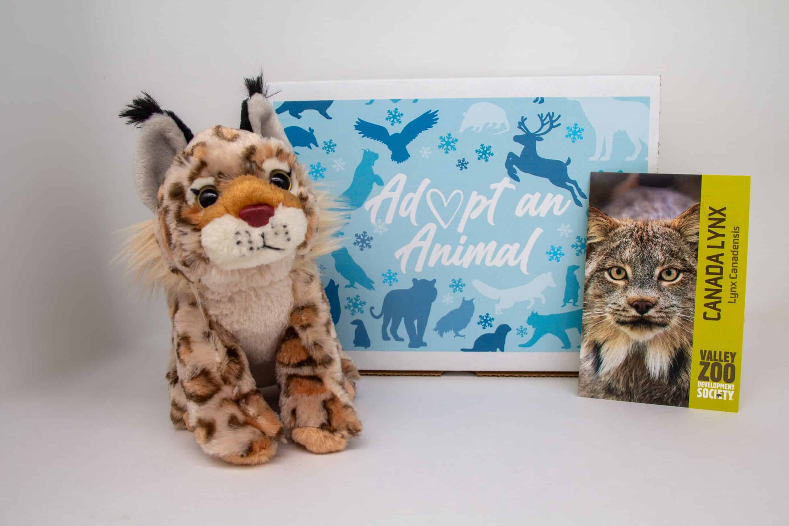 $75 Adopt an Animal - Lynx - Image 2