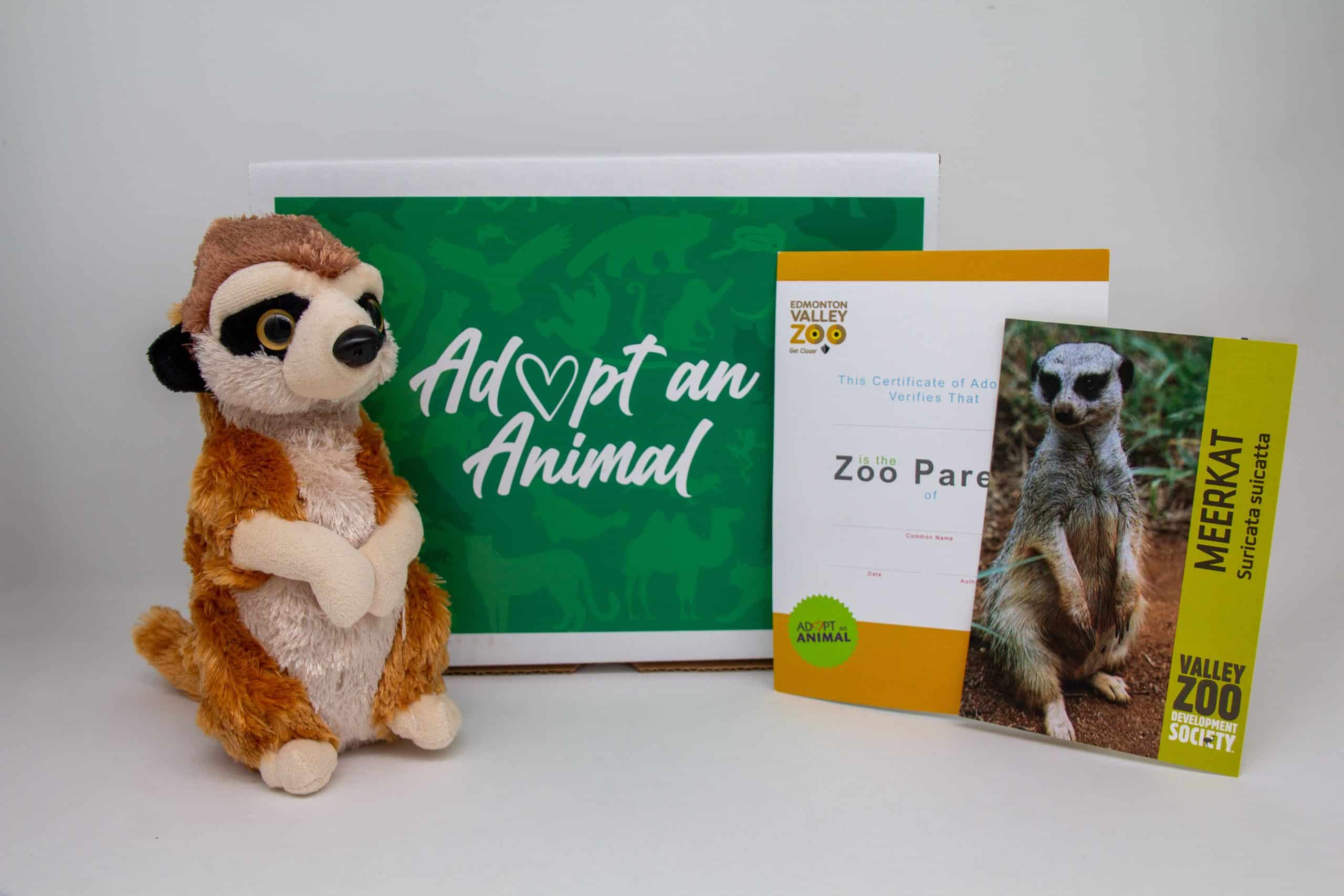 $75 Adopt an Animal - Meerkat - Image 2