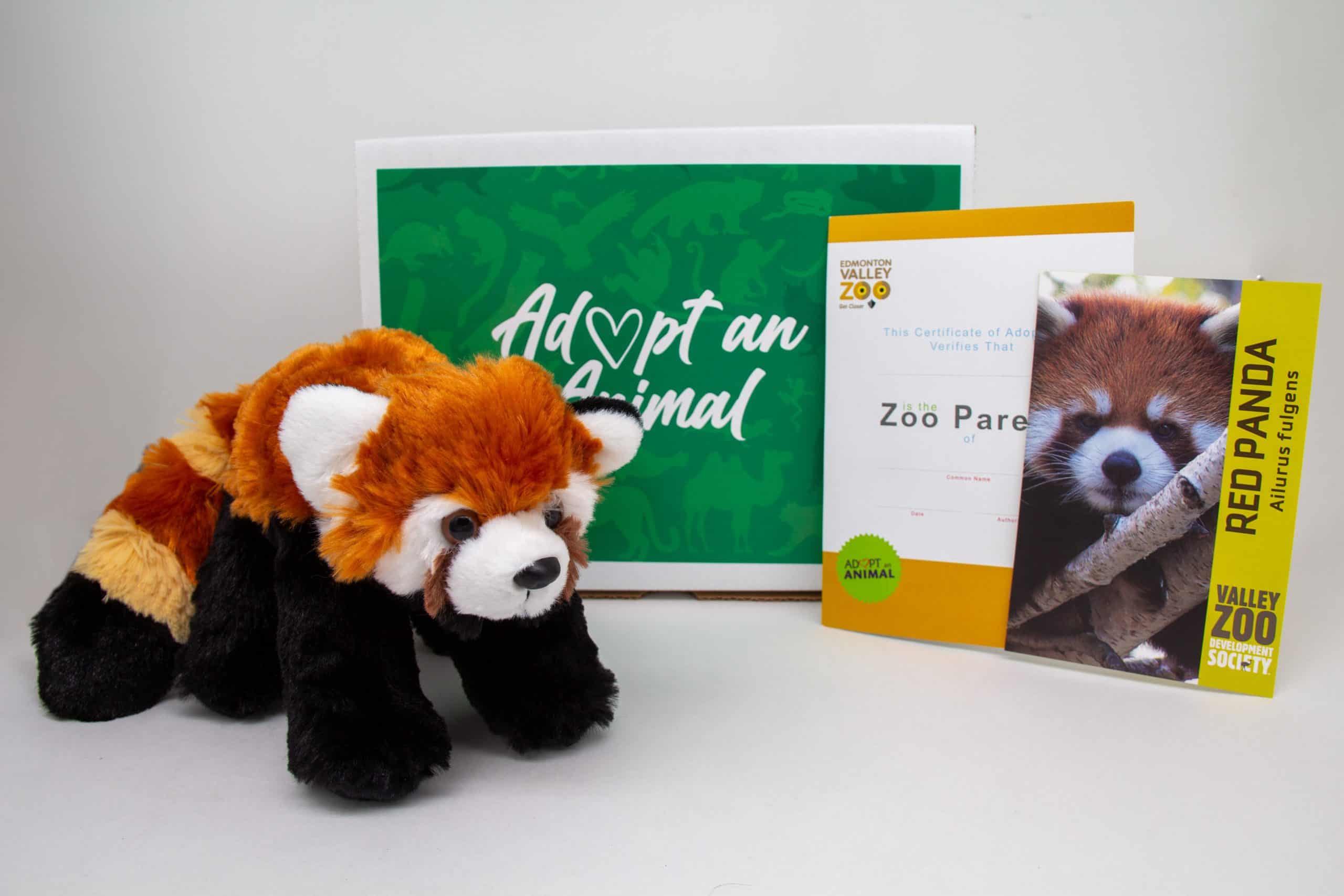$75 Adopt an Animal - Red Panda - Image 2