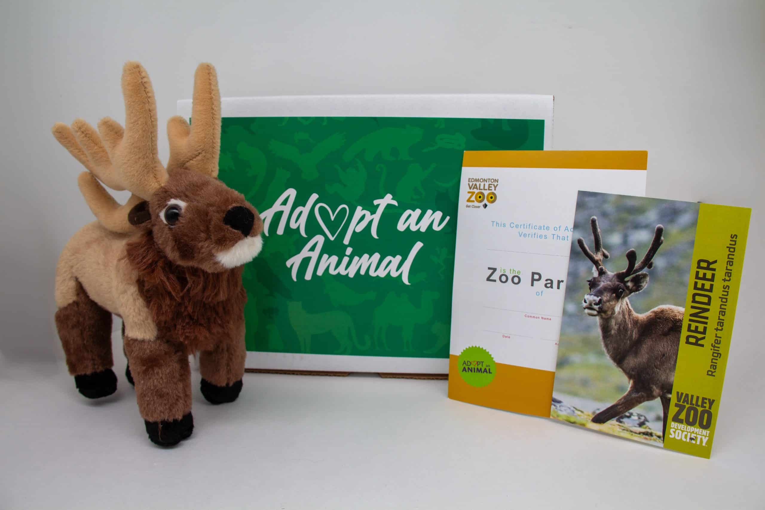 $75 Adopt an Animal - Reindeer - Image 2