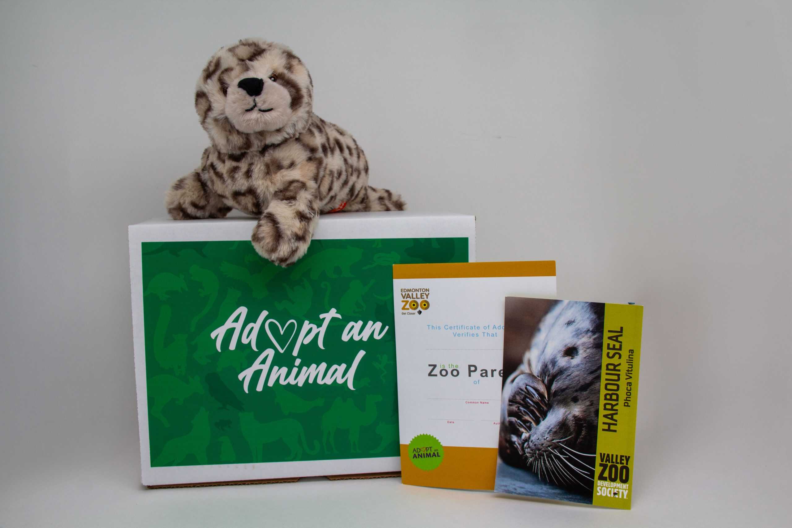 $75 Adopt an Animal - Harbor Seal - Image 2