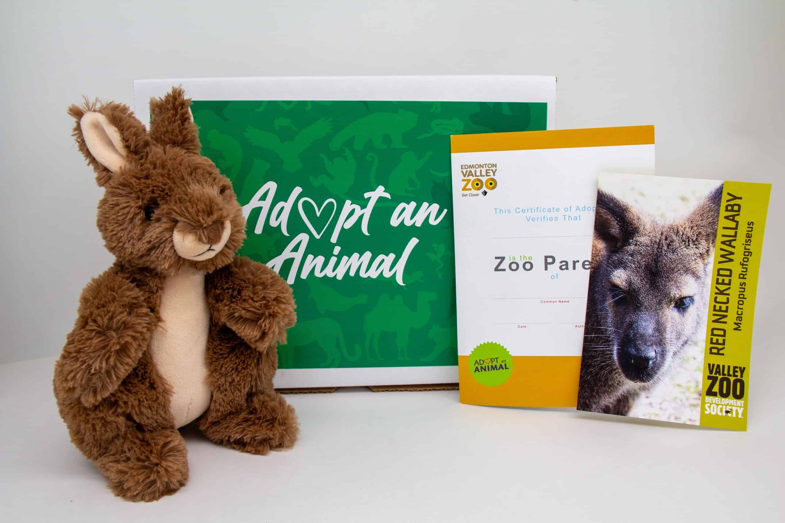 $75 Adopt an Animal - Wallaby - Image 2