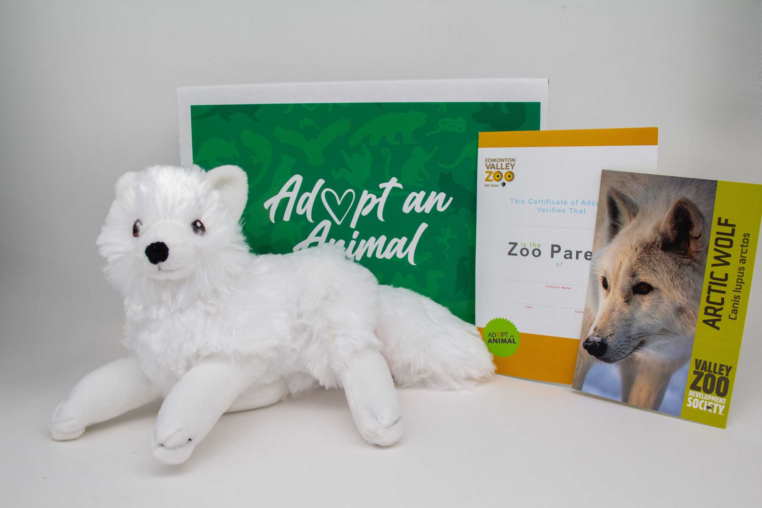 $75 Adopt an Animal - Arctic Wolf - Image 2
