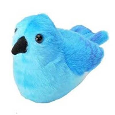 Audubon Birds - Mountain Bluebird