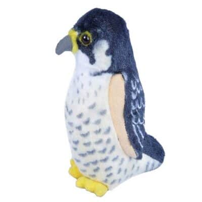 Audubon Birds - Peregrine Falcon