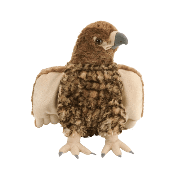 CK Bird - Red-Tailed Hawk 12"