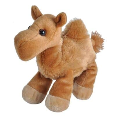 Hug Ems Camel