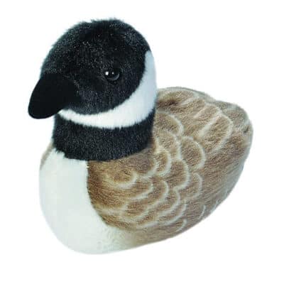 Audubon Birds - Canada Goose