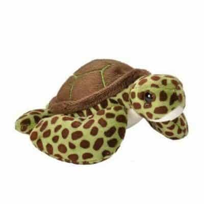 Pocketkins Green Sea Turtle