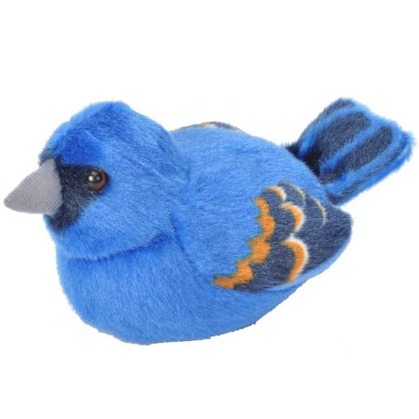 Audubon Birds - Blue Grosbeak