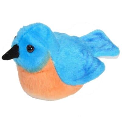 Audubon Birds - Eastern Bluebird