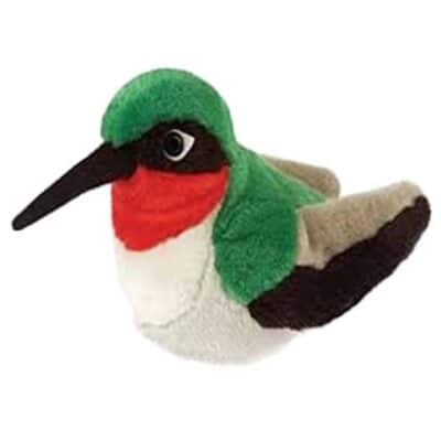 Audubon Birds - Hummingbird Ruby Throated