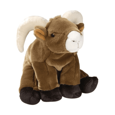 CK Big Horn Sheep 12" - Closeout