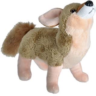Wild Calls - Coyote