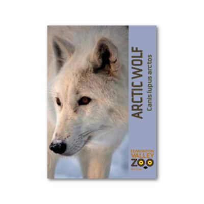 EVZ Animal Magnet - Arctic Wolf