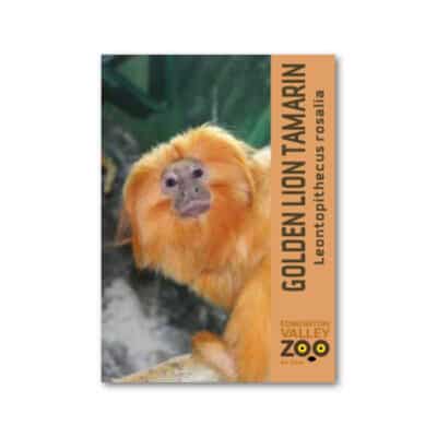 EVZ Animal Magnet - Golden Lion Tamarin