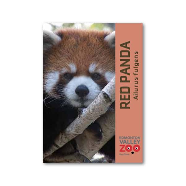 EVZ Animal Magnet - Red Panda