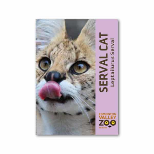EVZ Animal Magnet - Serval Cat