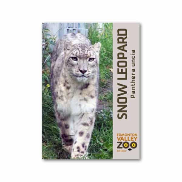 EVZ Animal Magnet - Snow Leopard