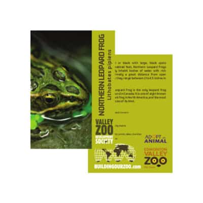 Northern Leopard Frog Trading Card