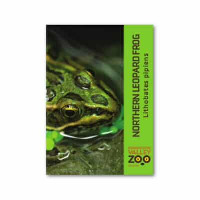 EVZ Northern Leopard Frog</br> Magnet