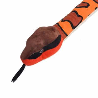 Snakesss Eastern Cottonmouth