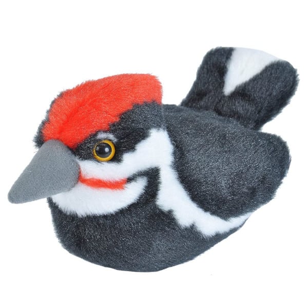 audbonpilatedwoodpecker