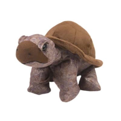 CK Tortoise 12" plush