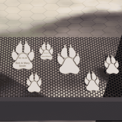 Wolf Track Fundraiser