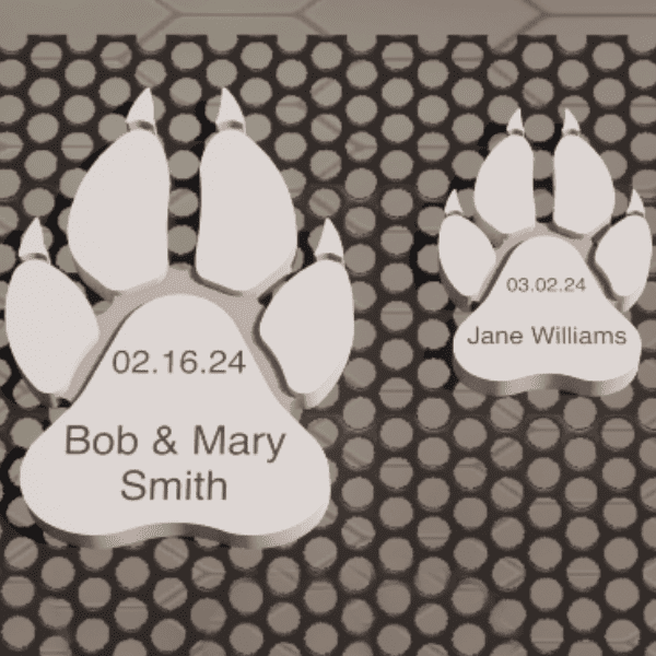 Wolf Track Fundraiser - Image 3