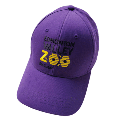 Image of purple ball cap with Edmonton Valley Zoo Bee logo on the front