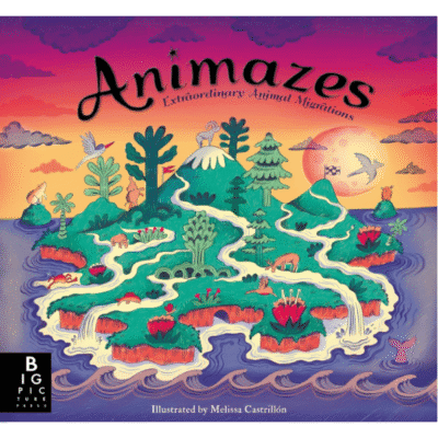 Image of Animazes book by Katie Hawroth