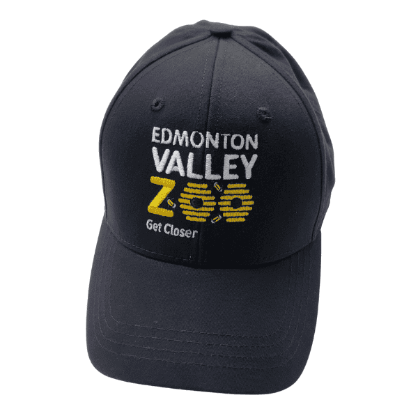 Image of black ball cap with Edmonton Valley Zoo Bee logo on the front